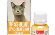 Prazicide suspension plus для кішок: інструкції для використання, відгуки...