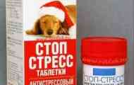 Підготовка зупинити стрес для собак - коли це потрібно?