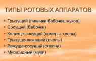 Тип структури перорального апарату в жуках та інших комах...