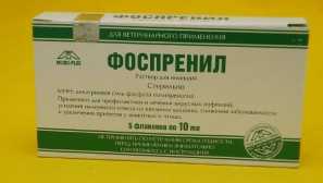 Fusnile для кішок: мета препарату, властивості, застосування