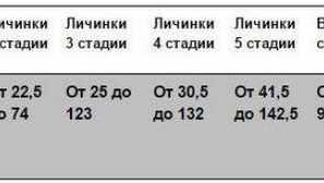 Помилки стрибають або повзають