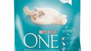 Purina one cat food: опис та огляди ветеринарів