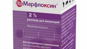 Marfloxin для собак: інструкції щодо використання ін'єкцій та таблеток