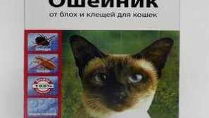 Комір для котів з бліх і кліщів