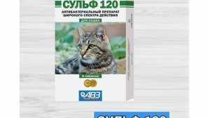 Особливості використання ветеринарного антибіотика сульфа-120 для кішок