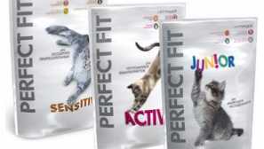 Відгуки ветеринарів про популярний корм для котів perfect fit