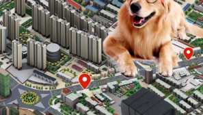 Корисні гаджети для вашої собаки на aliexpress: gps-трекери на будь-якому гаманці