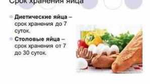 Термін зберігання курячих яєць та умови зберігання